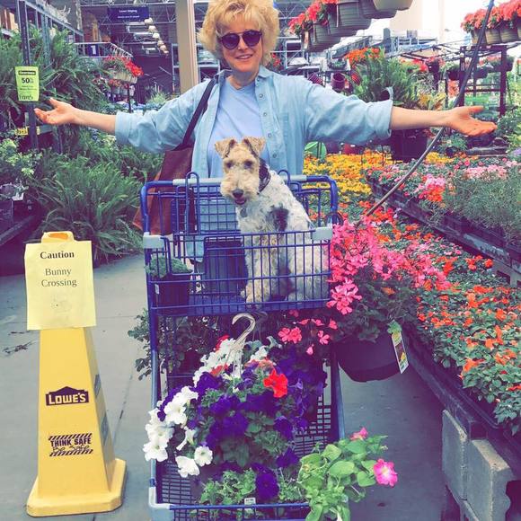 Meet your Posher, Julie - Picture 1 of 1