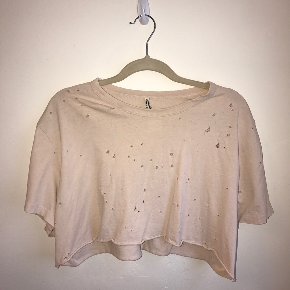 Blush LF crop top