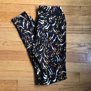 🐥 NEW LULAROE OS Leggings! 🐣