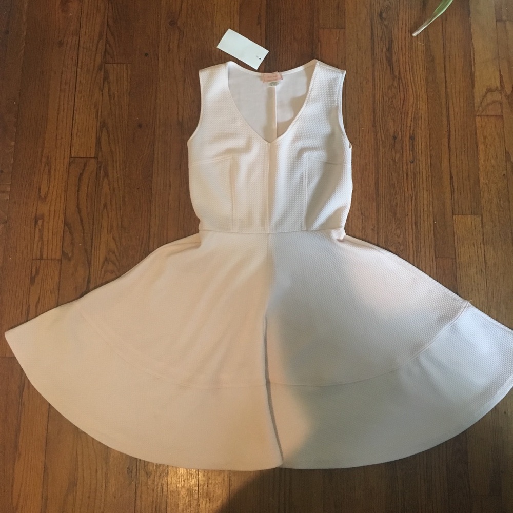 Love Addy Brand New Pink Petal Dress