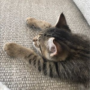 Meet your Posher, Nicole