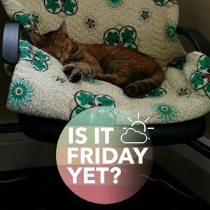 Meet your Posher, Shannon