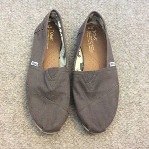 Grey Toms