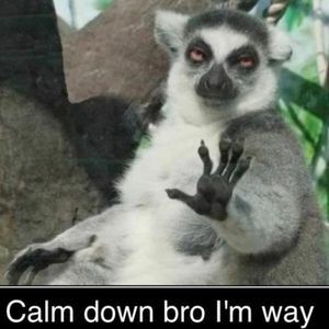 Meet your Posher, Umar