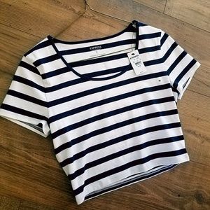 NWT Express Crop Top