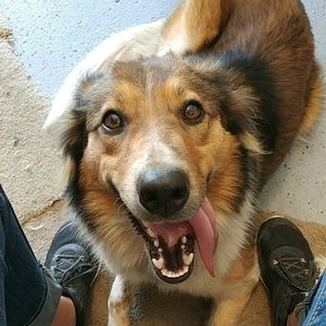 Meet your Posher, Tara