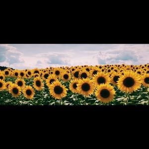 Meet your Posher, Kara