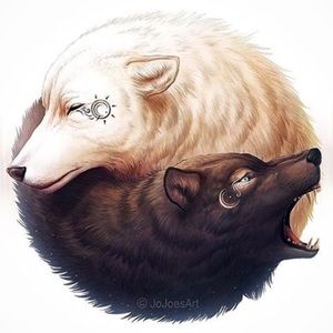 Meet your Posher, Eliseo