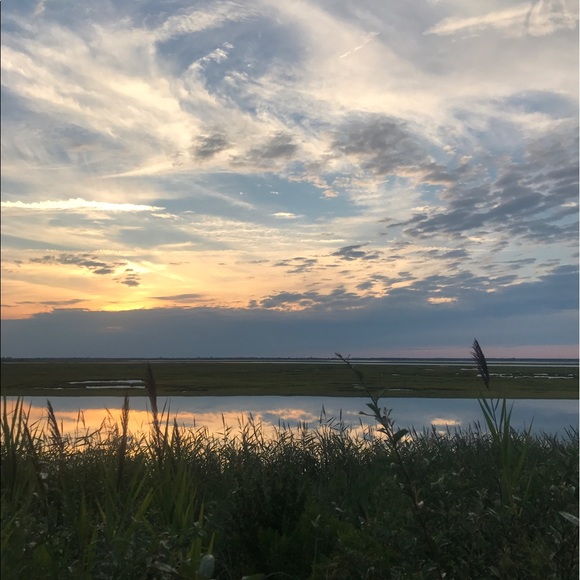 Meet your Posher, Riva - Picture 1 of 1