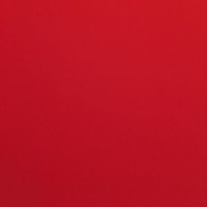 Meet your Posher, Chasya