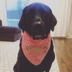 Meet your Posher, Christine