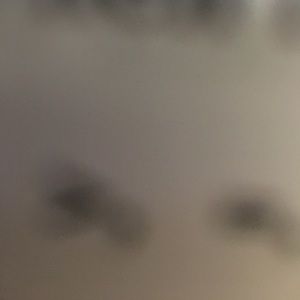 Meet your Posher, Tommy