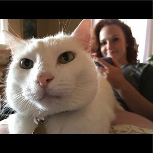 Meet your Posher, Laura