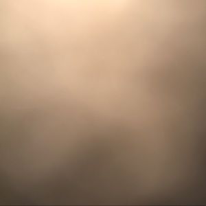 Meet your Posher, Silvia