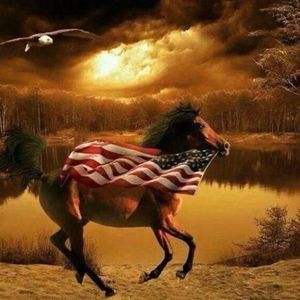 Meet your Posher, Mickey