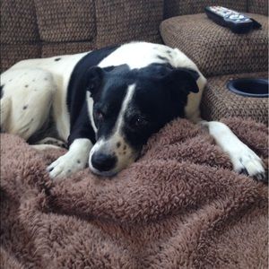 Meet your Posher, Patty