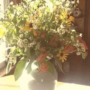 Meet your Posher, Crystal