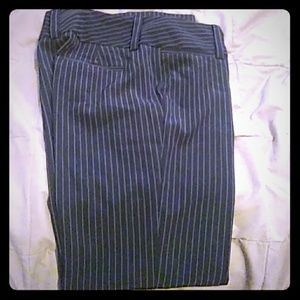 Dress Pants
