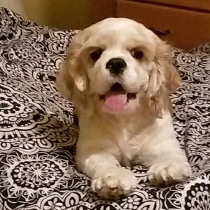 Meet your Posher, Lisa