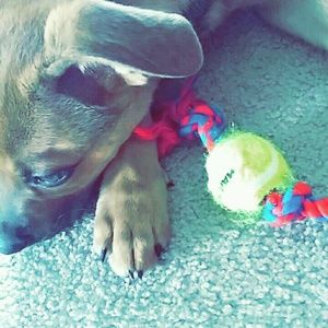 Meet your Posher, Lexi