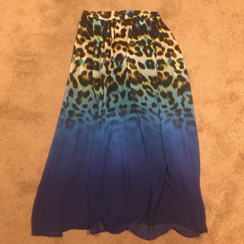 Ombré maxi skirt