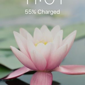 Meet your Posher, Daphne