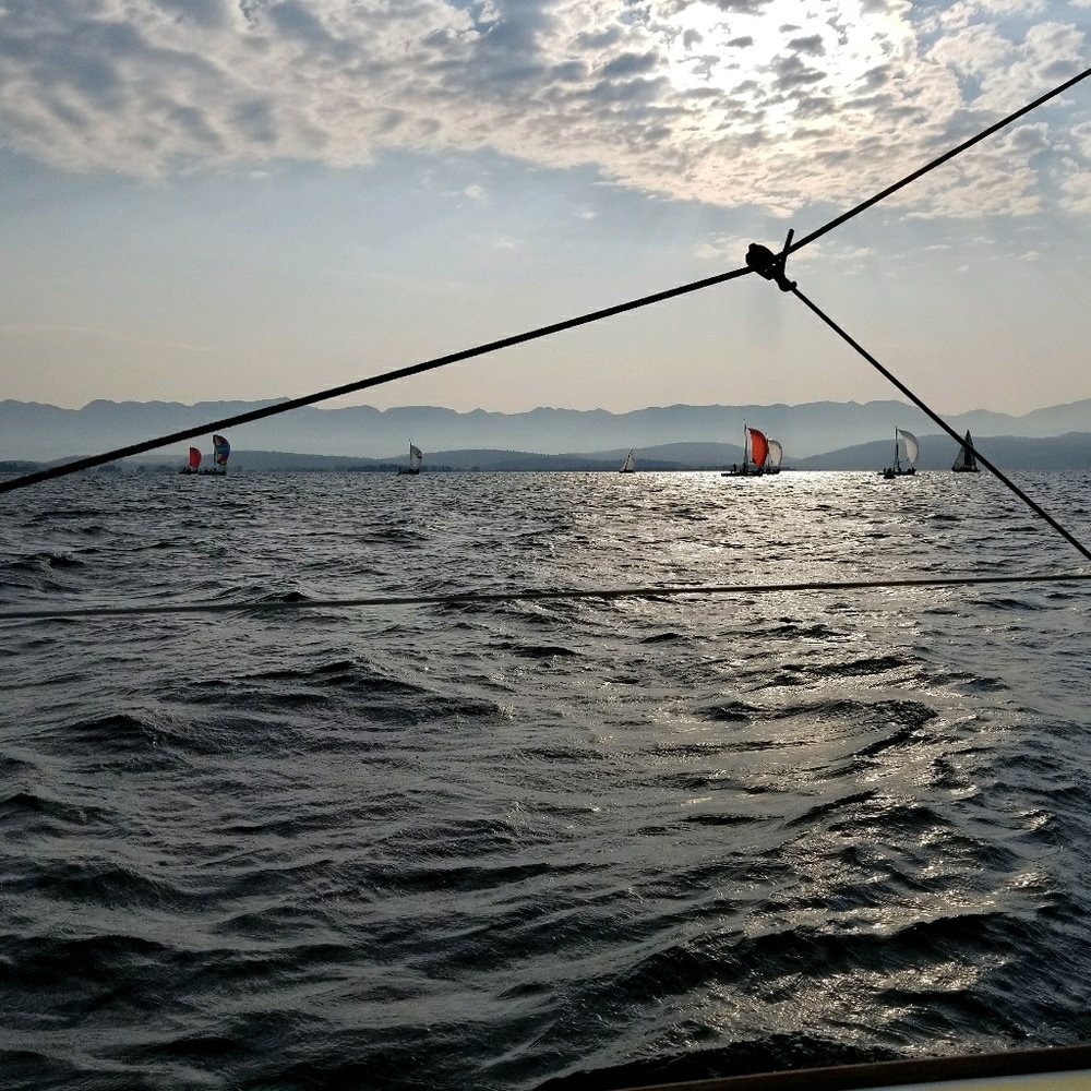 Meet your Posher, Baily