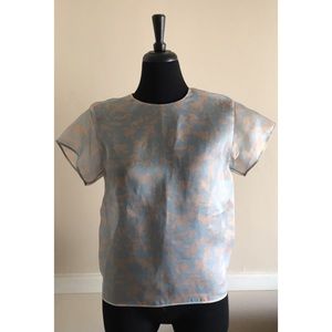 COS Sheer Top size 36
