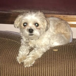 Meet your Posher, Ciara