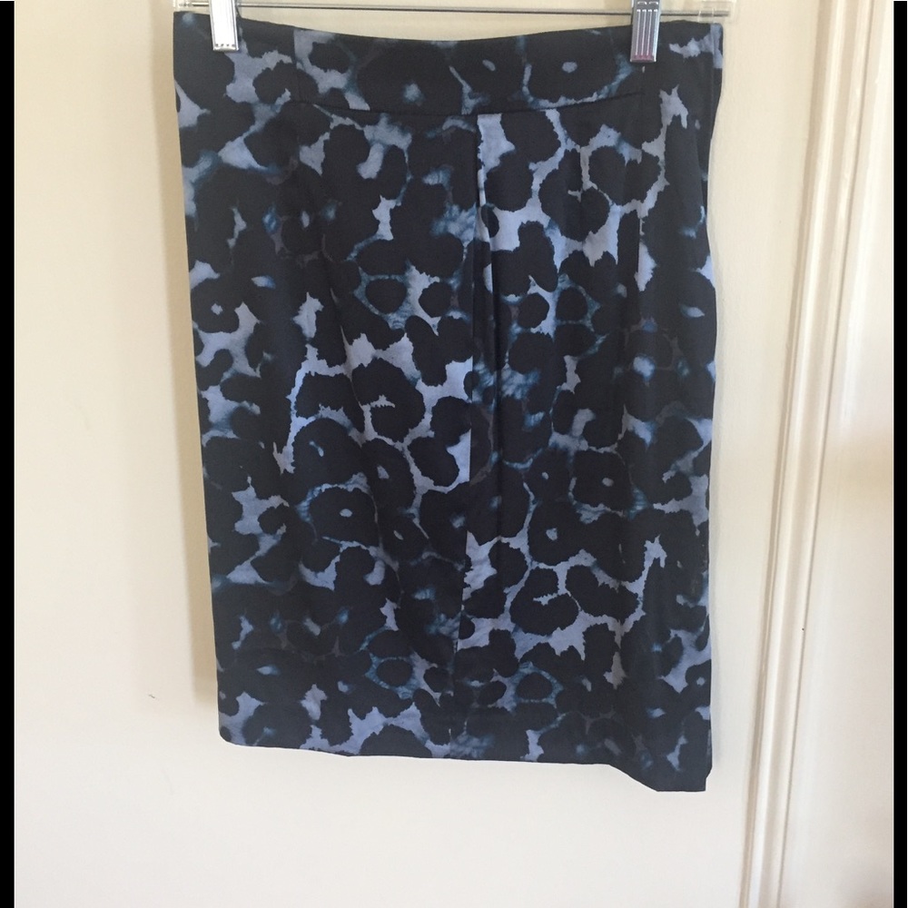Ann Taylor Pencil Skirt