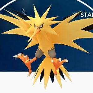 Meet your Posher, Ramiro