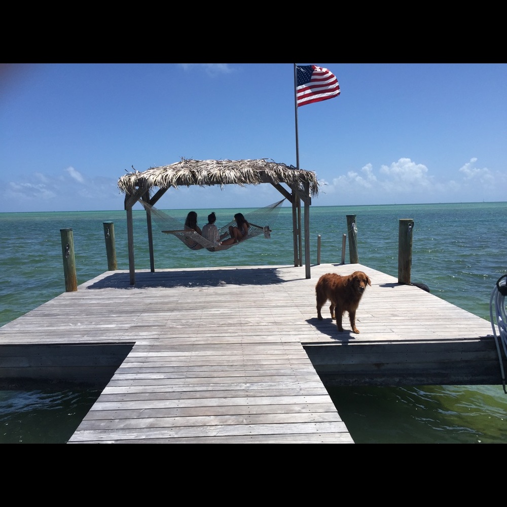 Meet your Posher, Suzannah