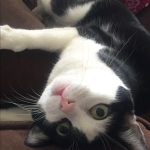 Meet your Posher, Jenny