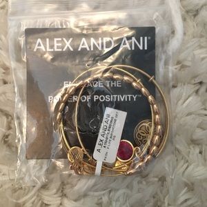 Alex and Ani Path of Life Bangle Set