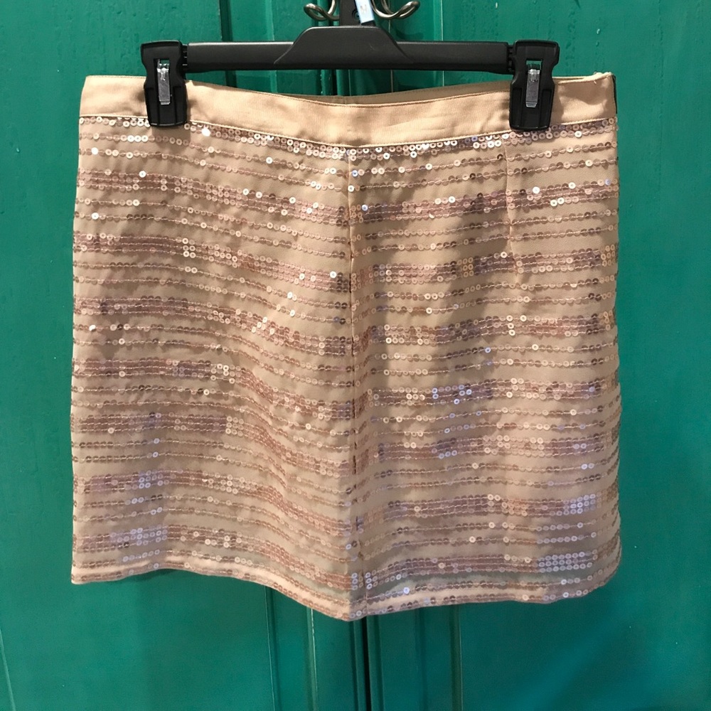 American Eagle Skirt with Sequins