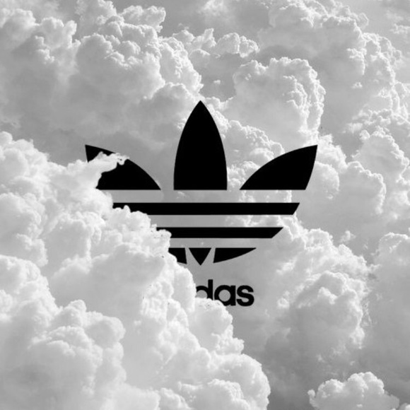 Meet your Posher, Nicholas - Picture 1 of 1