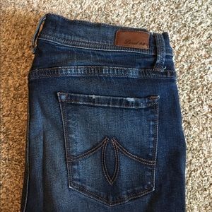 Level 99 High Rise Skinny Jeans