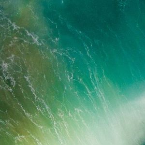 Meet your Posher, Jayden