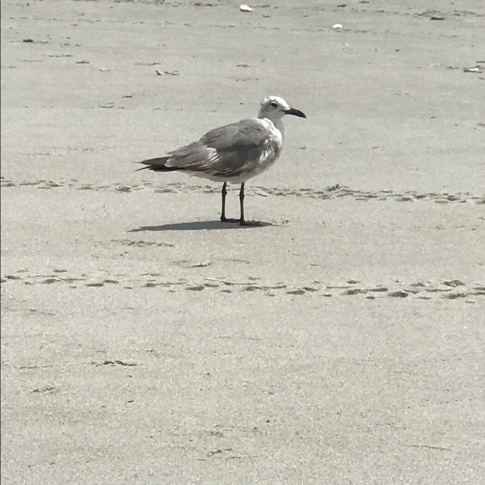 Meet your Posher, Kelley