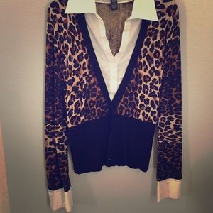 Cheetah Print White Collar Blouse