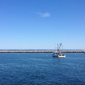 Meet your Posher, Ellyn