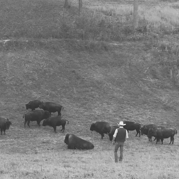 Meet your Posher, Daniel - Picture 7 of 8