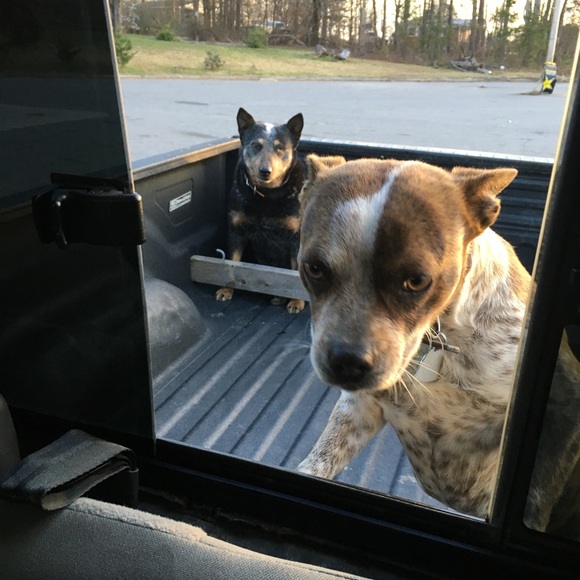 Meet your Posher, Daniel - Picture 8 of 8