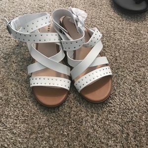 Torrid sandal