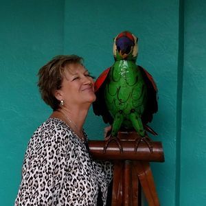 Meet your Posher, Lorelei