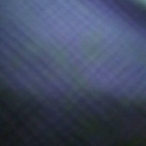 Meet your Posher, Annika