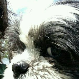 Meet your Posher, Debra