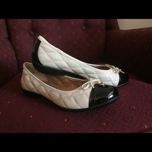 White Mountain Flats