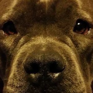 Meet your Posher, William