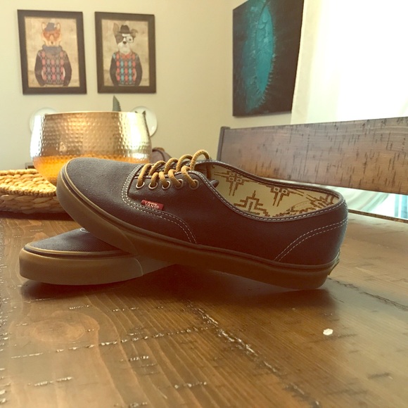 Vans Other - Vans Blue skate shoe